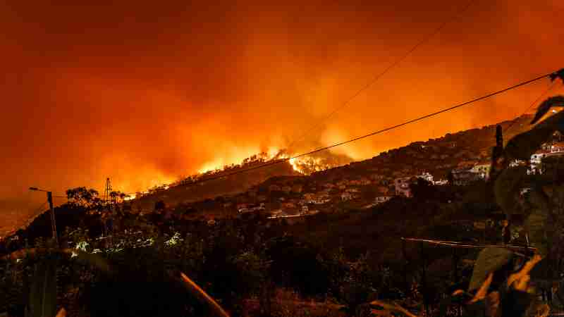 Heatwave and wildfire crisis in Portugal causes widespread evacuations and flight disruptions