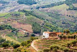 c The, tags: douro - CC BY-SA