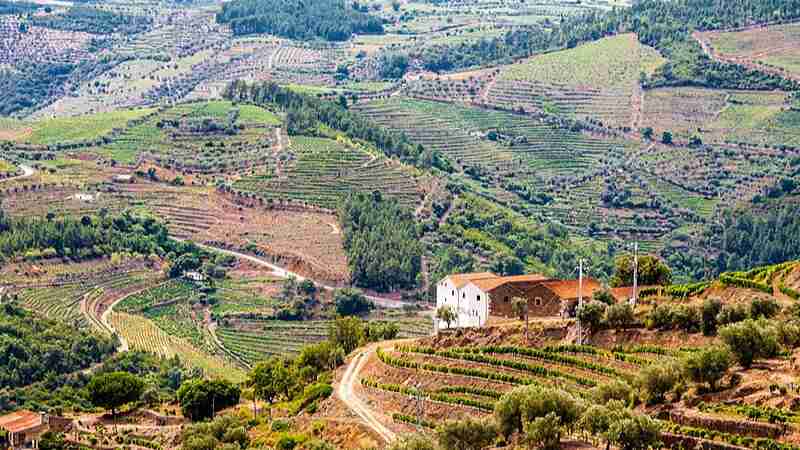 c The, tags: douro - CC BY-SA